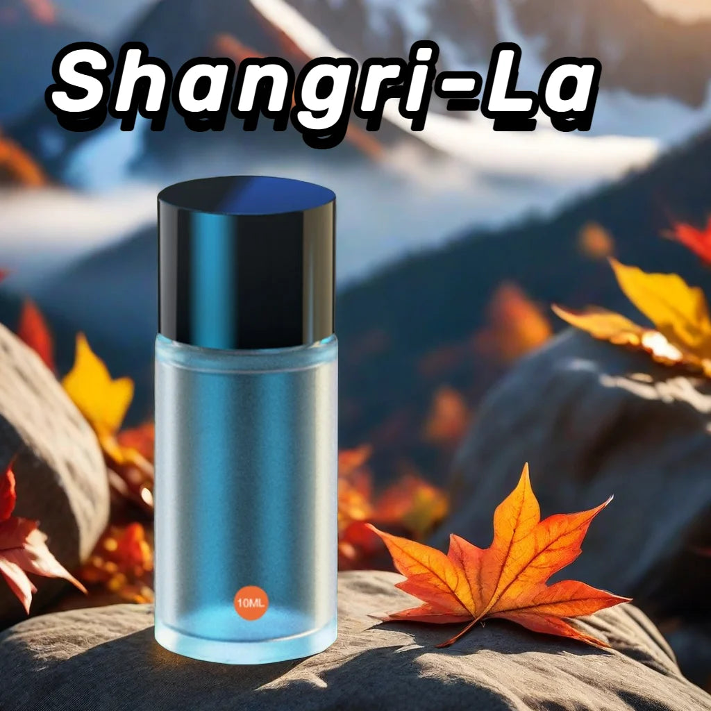 Bestselling Car Aromatherapy 10ml Supplement Liquid Rich Flavor Essential Oil(Excluding Machine) Odor Removed Car Air freshener