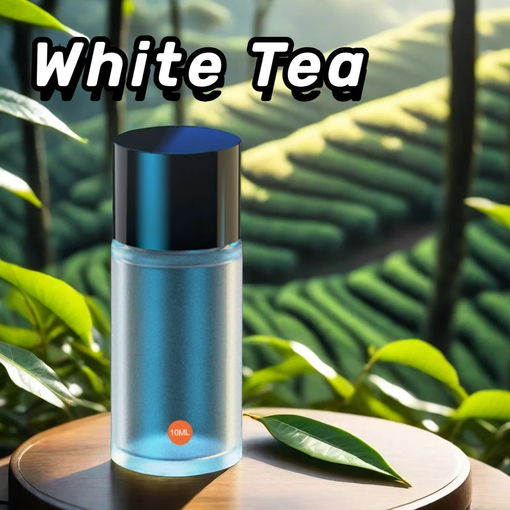 Bestselling Car Aromatherapy 10ml Supplement Liquid Rich Flavor Essential Oil(Excluding Machine) Odor Removed Car Air freshener